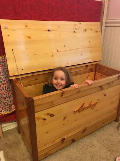 Cedar store toy box